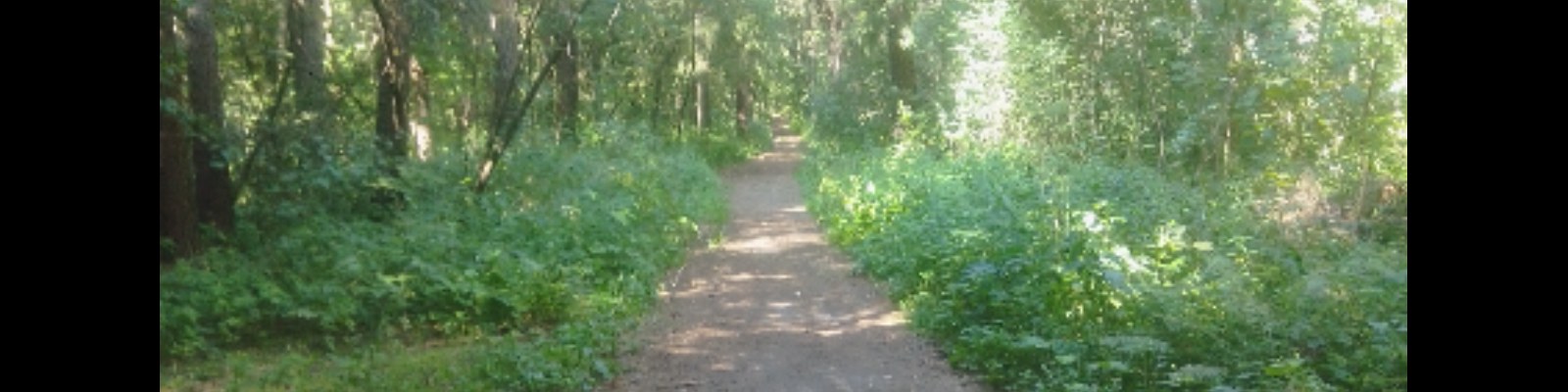 Баннер профиля: BonumDiZ